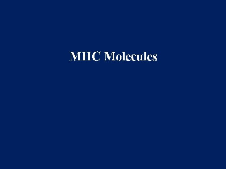 MHC Molecules 