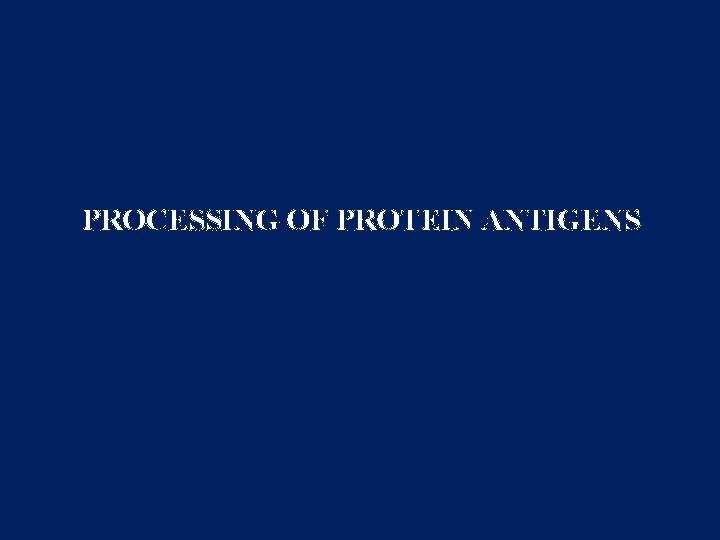PROCESSING OF PROTEIN ANTIGENS 