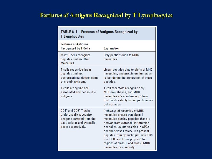 Features of Antigens Recognized by T Lymphocytes 