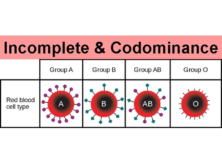 Incomplete & Codominance 