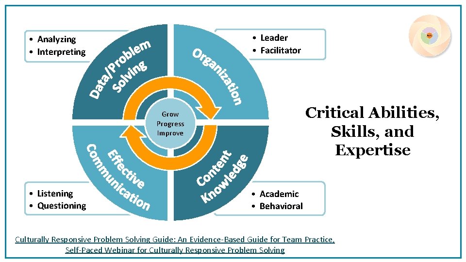  • Leader • Facilitator • Analyzing • Interpreting Critical Abilities, Skills, and Expertise