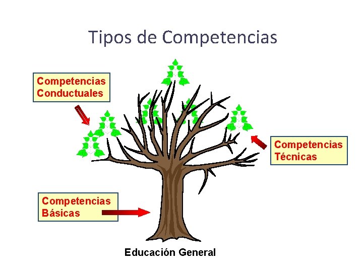 Tipos de Competencias Conductuales Competencias Técnicas Competencias Básicas Educación General 