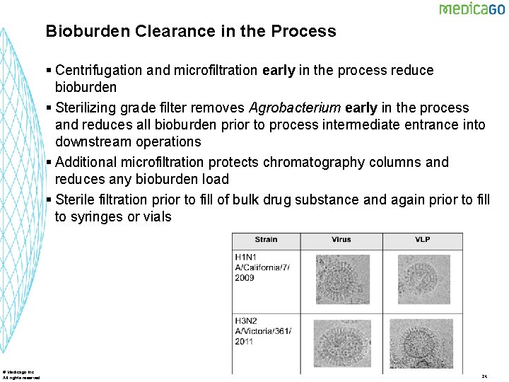 Bioburden Clearance in the Process § Centrifugation and microfiltration early in the process reduce