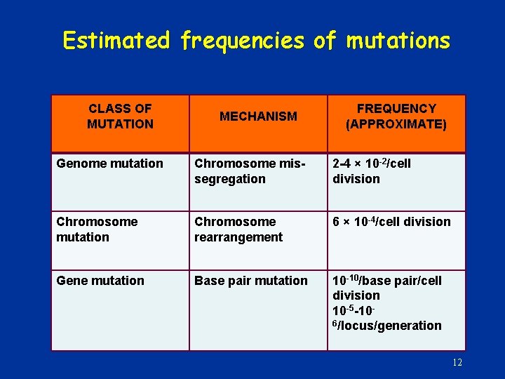 Estimated frequencies of mutations CLASS OF MUTATION MECHANISM FREQUENCY (APPROXIMATE) Genome mutation Chromosome missegregation