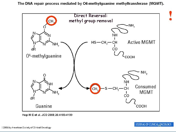 ! Direct Reversal: methyl group removal 25 