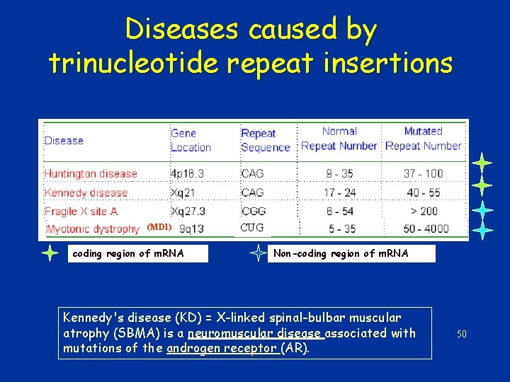 Diseases caused by trinucleotide repeat insertions (MD 1) coding region of m. RNA CUG