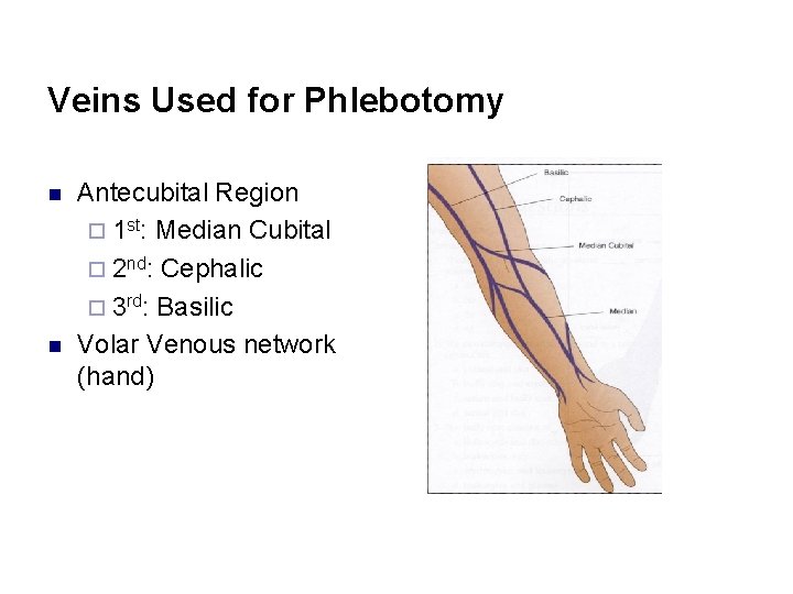 Veins Used for Phlebotomy n n Antecubital Region ¨ 1 st: Median Cubital ¨