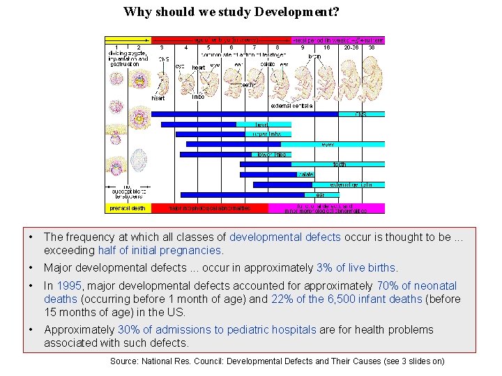 Why should we study Development? • The frequency at which all classes of developmental