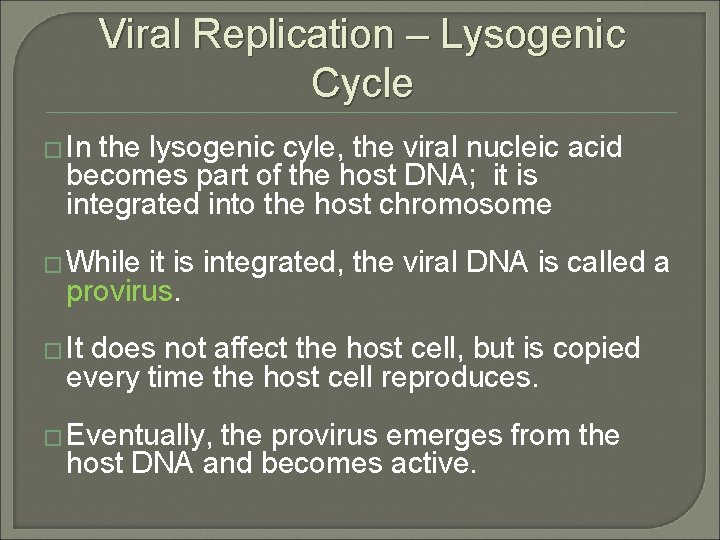 Viral Replication – Lysogenic Cycle � In the lysogenic cyle, the viral nucleic acid