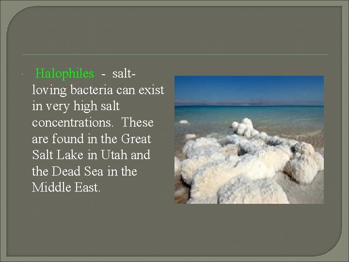  Halophiles - saltloving bacteria can exist in very high salt concentrations. These are
