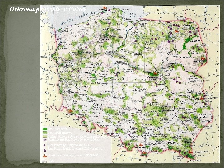 Ochrona przyrody w Polsce Parki narodowe Parki krajobrazowe Otuliny parków i obszary chronionego krajobrazu