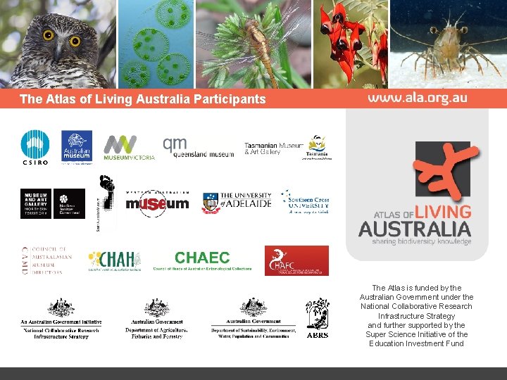 The Atlas of Living Australia Participants The Atlas is funded by the Australian Government