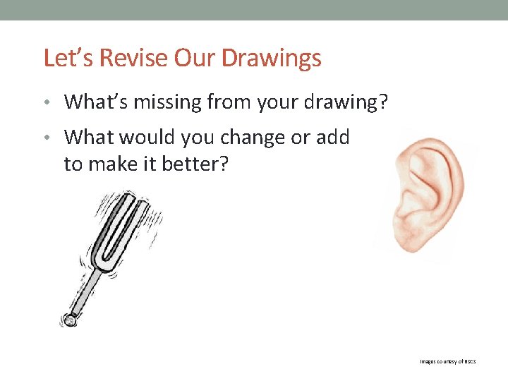 Let’s Revise Our Drawings • What’s missing from your drawing? • What would you