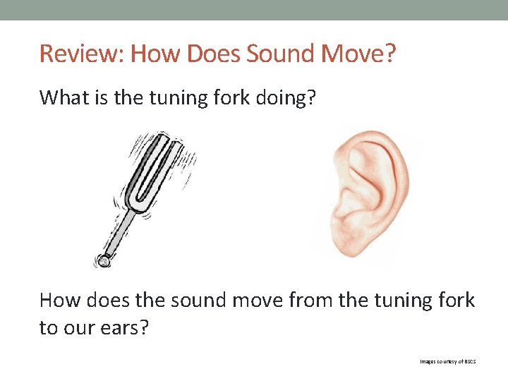 Review: How Does Sound Move? What is the tuning fork doing? How does the