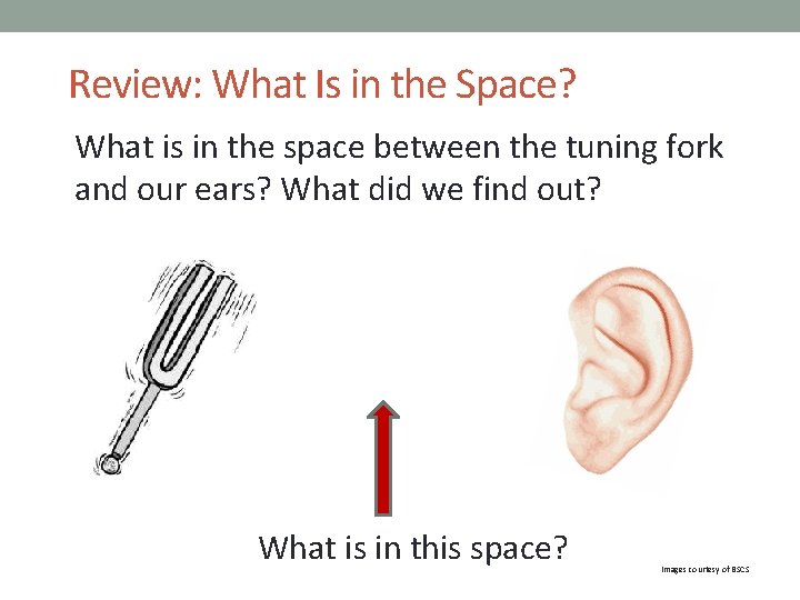 Review: What Is in the Space? What is in the space between the tuning