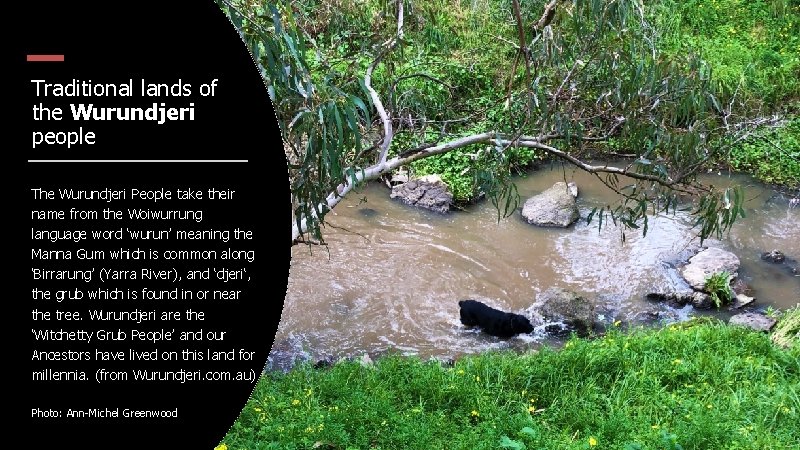 Traditional lands of the Wurundjeri people The Wurundjeri People take their name from the