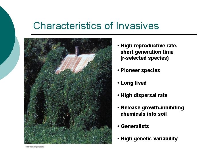 Characteristics of Invasives • High reproductive rate, short generation time (r-selected species) • Pioneer