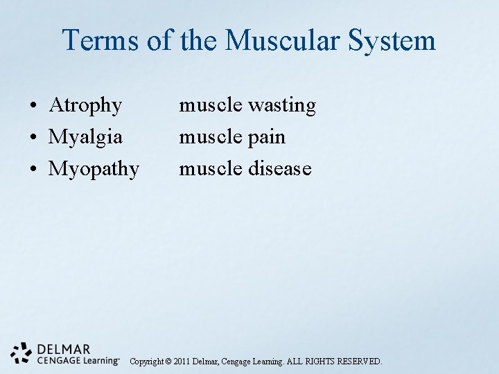 Terms of the Muscular System • Atrophy • Myalgia • Myopathy muscle wasting muscle