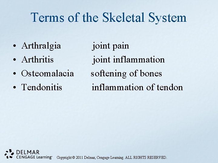 Terms of the Skeletal System • • Arthralgia Arthritis Osteomalacia Tendonitis joint pain joint