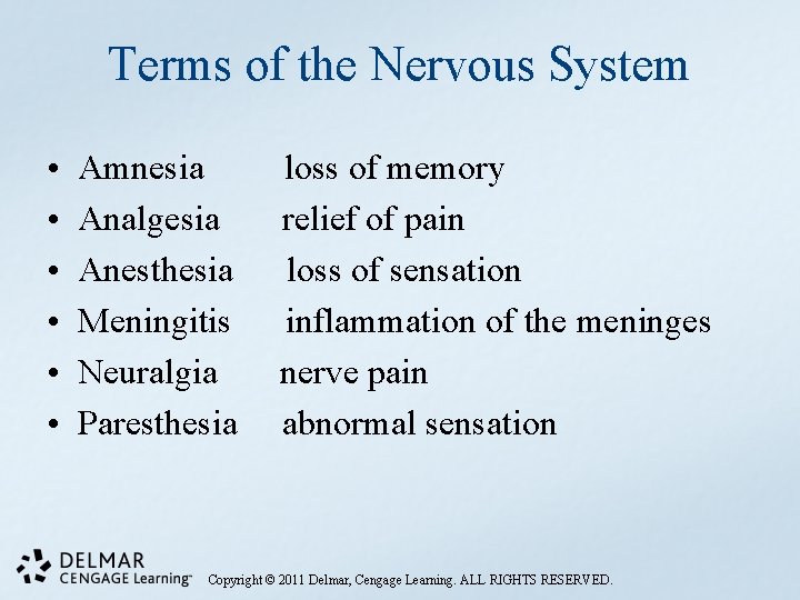 Terms of the Nervous System • • • Amnesia Analgesia Anesthesia Meningitis Neuralgia Paresthesia