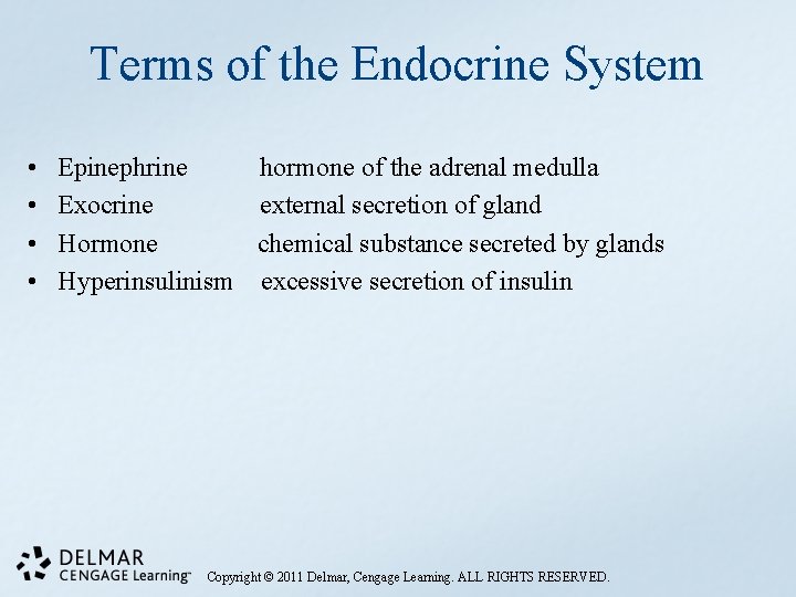 Terms of the Endocrine System • • Epinephrine Exocrine Hormone Hyperinsulinism hormone of the