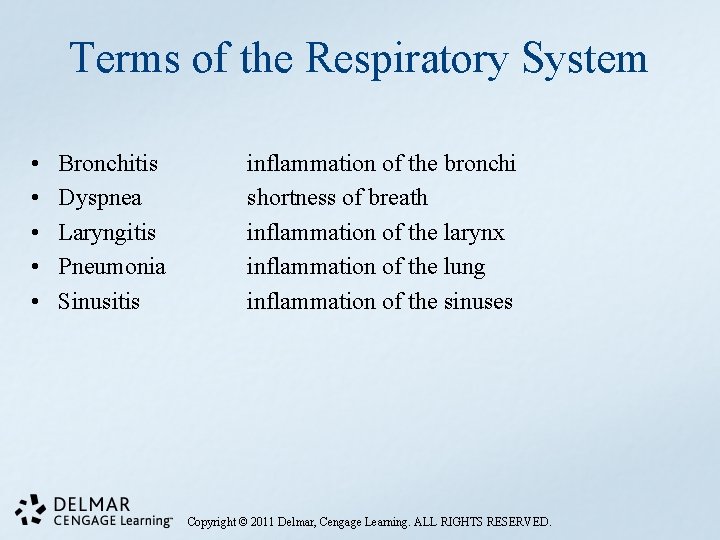 Terms of the Respiratory System • • • Bronchitis Dyspnea Laryngitis Pneumonia Sinusitis inflammation