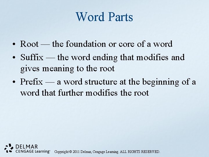 Word Parts • Root — the foundation or core of a word • Suffix