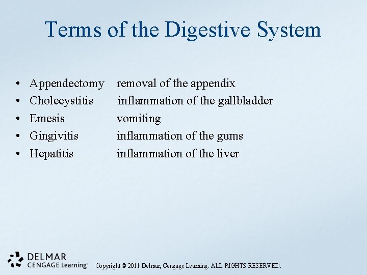 Terms of the Digestive System • • • Appendectomy Cholecystitis Emesis Gingivitis Hepatitis removal