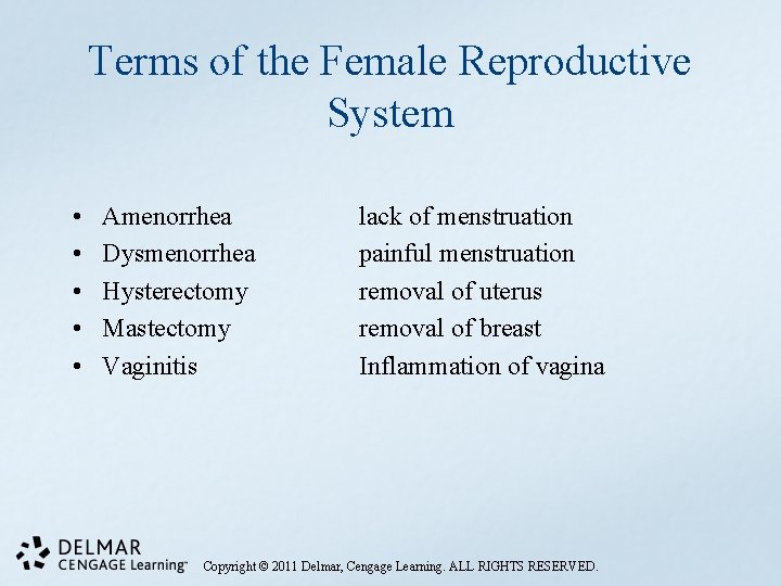 Terms of the Female Reproductive System • • • Amenorrhea Dysmenorrhea Hysterectomy Mastectomy Vaginitis