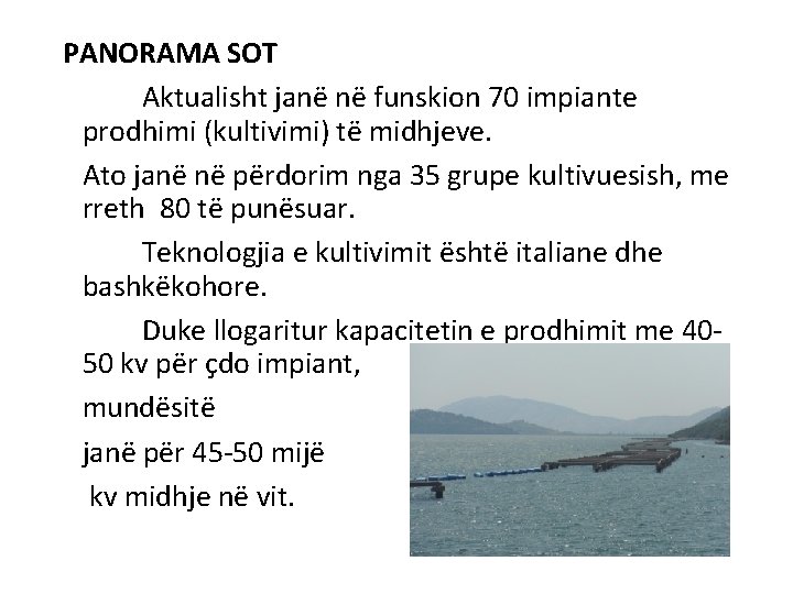 PANORAMA SOT Aktualisht janë në funskion 70 impiante prodhimi (kultivimi) të midhjeve. Ato janë