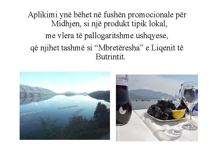 Aplikimi ynë bëhet në fushën promocionale për Midhjen, si një produkt tipik lokal, me