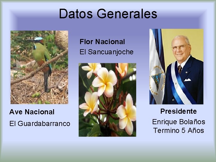 Datos Generales Flor Nacional El Sancuanjoche Ave Nacional El Guardabarranco Presidente Enrique Bolaños Termino