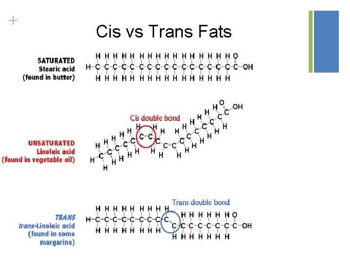 Structure and Function of Large Biological Molecules Macromolecules