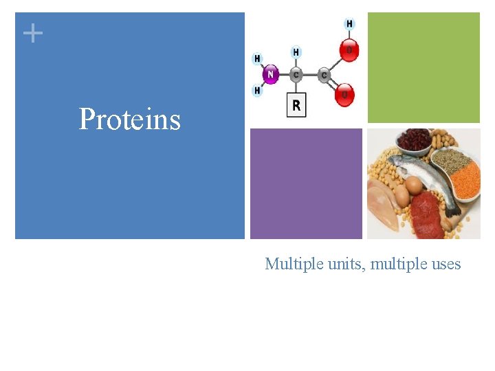 + Proteins Multiple units, multiple uses 