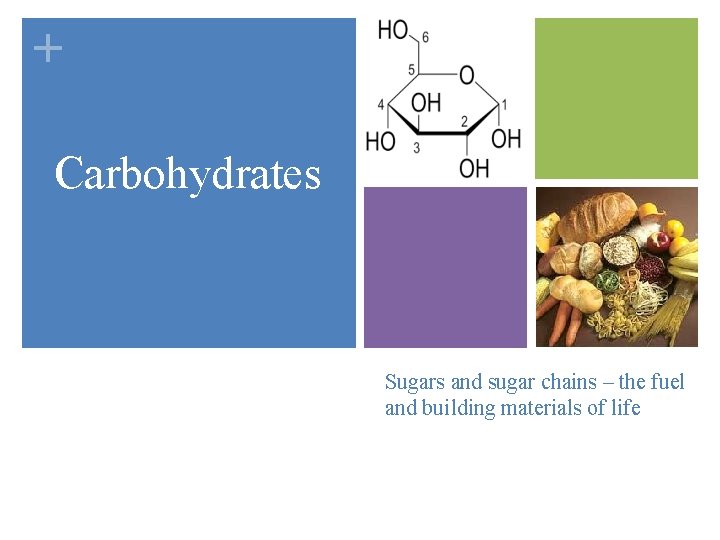 + Carbohydrates Sugars and sugar chains – the fuel and building materials of life