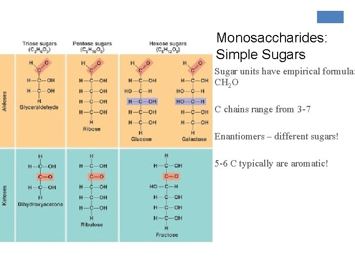 Monosaccharides: Simple Sugars Sugar units have empirical formula: CH 2 O C chains range
