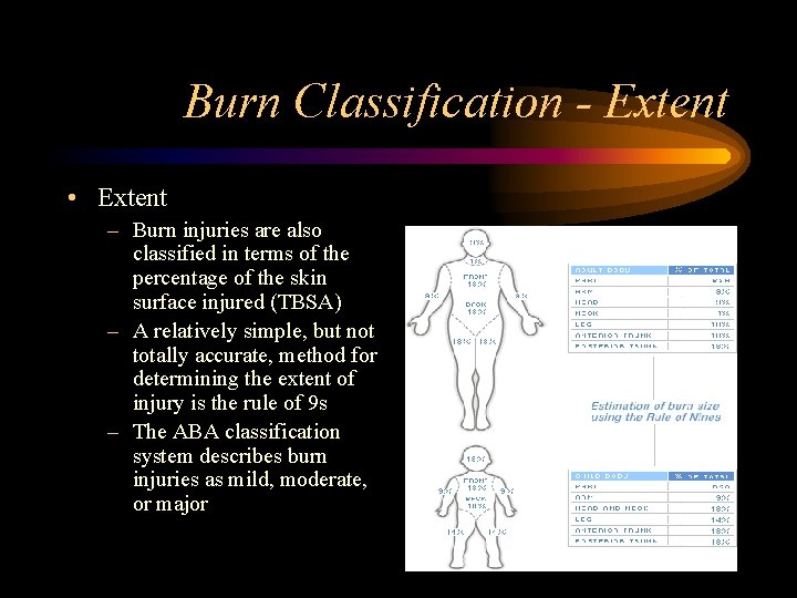 Burn Classification - Extent • Extent – Burn injuries are also classified in terms
