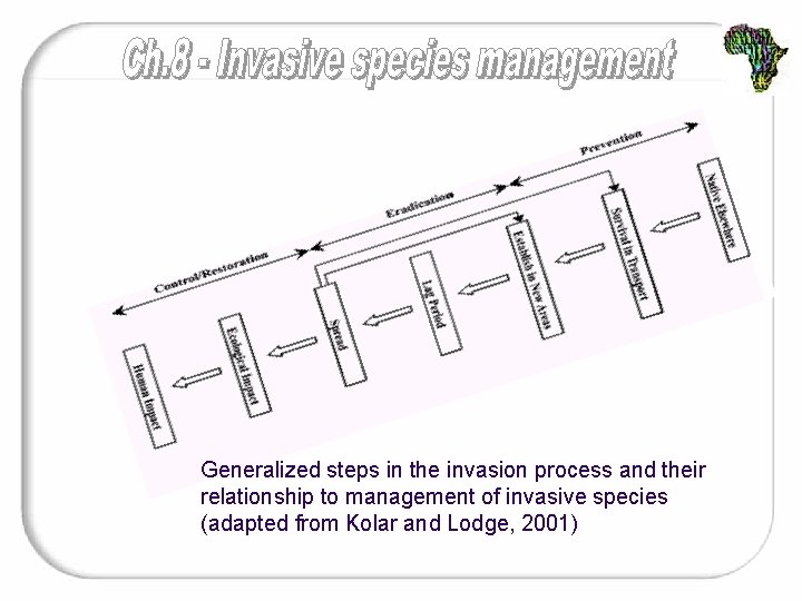 Generalized steps in the invasion process and their relationship to management of invasive species