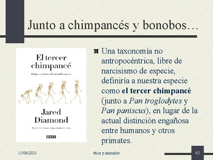 Junto a chimpancés y bonobos… Una taxonomía no antropocéntrica, libre de narcisismo de especie,