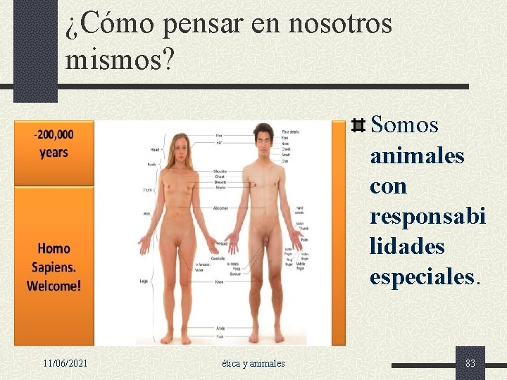 ¿Cómo pensar en nosotros mismos? Somos animales con responsabi lidades especiales. 11/06/2021 ética y