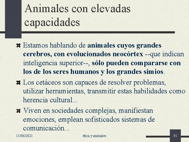 Animales con elevadas capacidades Estamos hablando de animales cuyos grandes cerebros, con evolucionados neocórtex