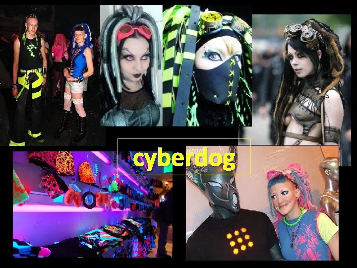 cyberdog 
