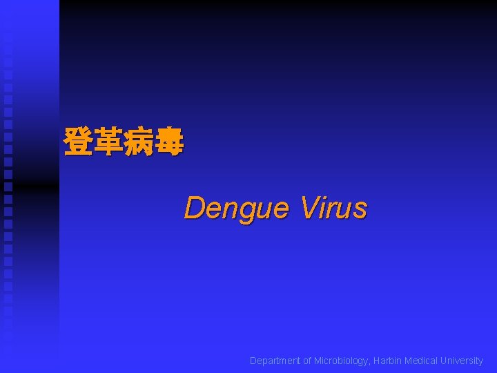登革病毒 Dengue Virus Department of Microbiology, Harbin Medical University 