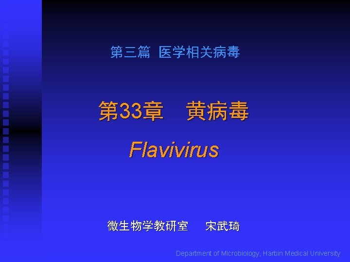 第三篇 医学相关病毒 第 33章 黄病毒 Flavivirus 微生物学教研室 宋武琦 Department of Microbiology, Harbin Medical University