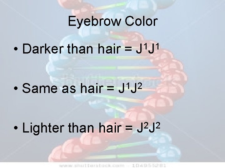 Eyebrow Color • Darker than hair = 1 1 JJ • Same as hair