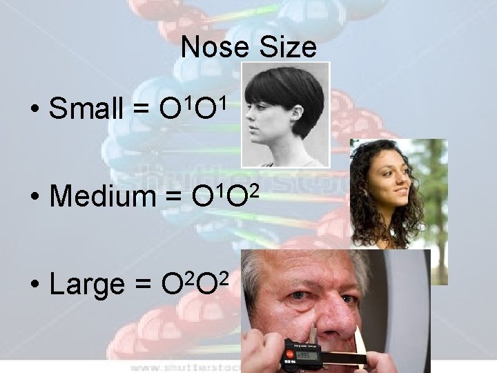 Nose Size • Small = 1 1 OO • Medium = O 1 O