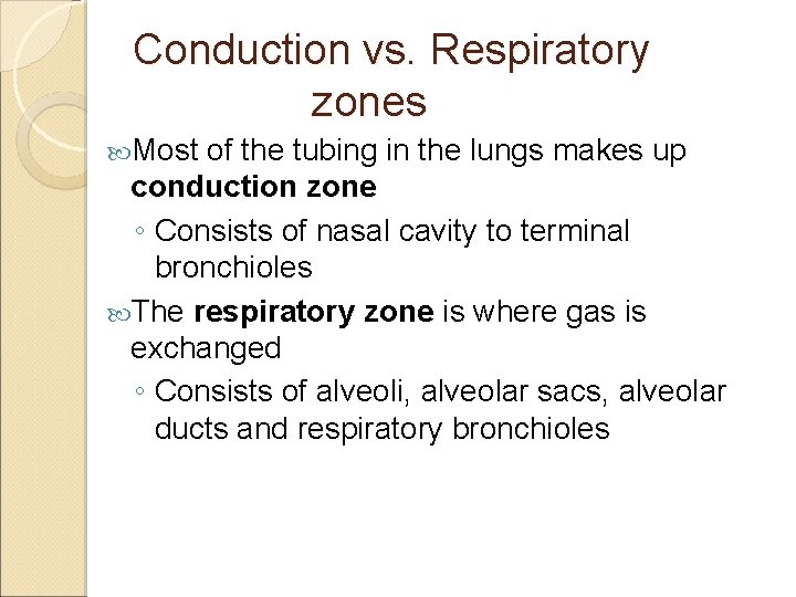 Conduction vs. Respiratory zones Most of the tubing in the lungs makes up conduction