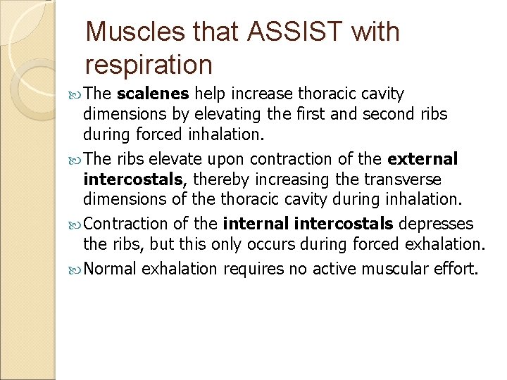 Muscles that ASSIST with respiration The scalenes help increase thoracic cavity dimensions by elevating