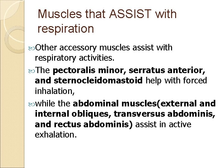 Muscles that ASSIST with respiration Other accessory muscles assist with respiratory activities. The pectoralis