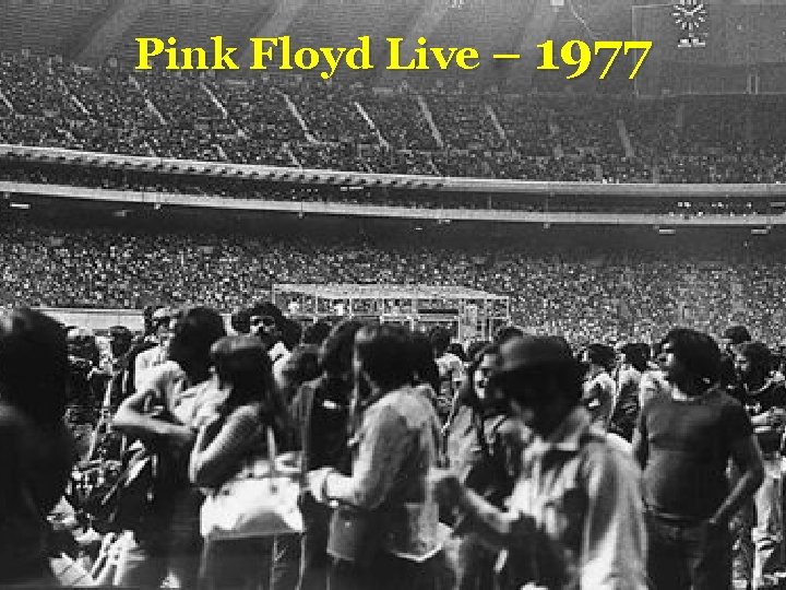 Pink Floyd Live – 1977 